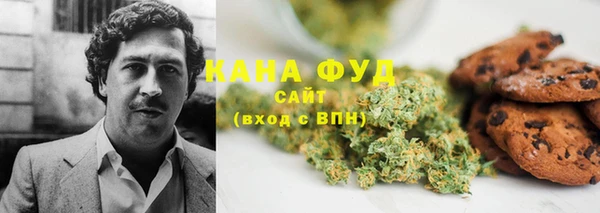 амф Горняк