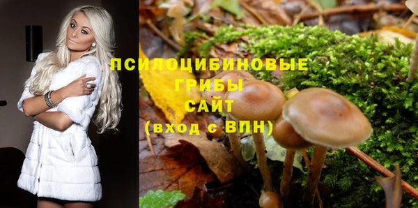 амф Горняк