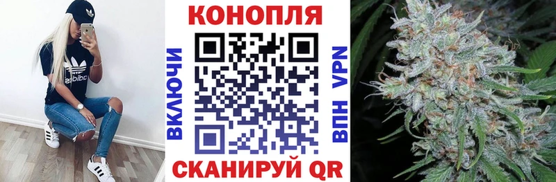 хочу наркоту  Плёс  Каннабис план 
